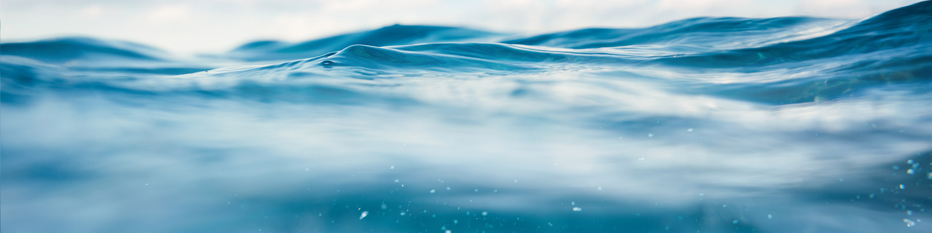 Choosing PureBallast 3 for ballast water treatment provides access to Alfa Laval support in biological commissioning testing