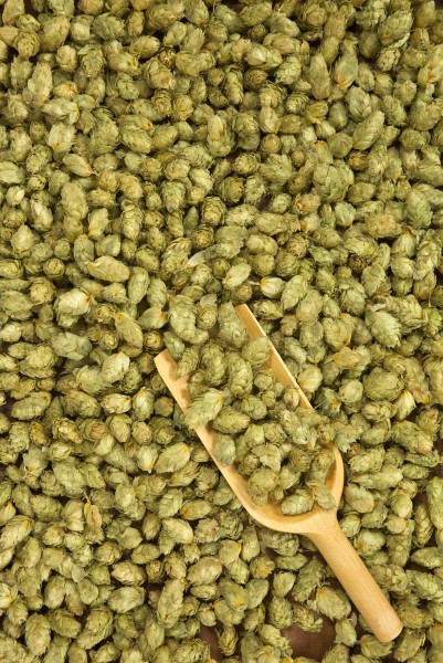 Hops3