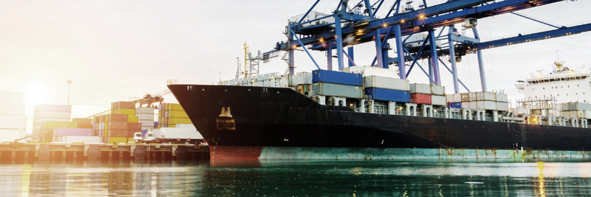 White paper - Fuel choices and boiler combustion