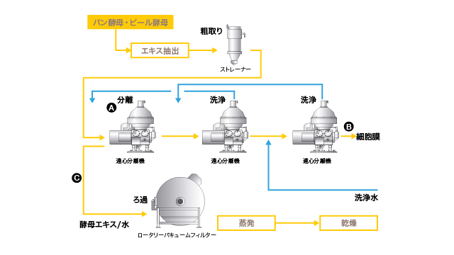 酵母エキス製造プロセス.png