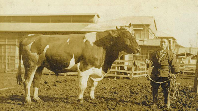 nakazawa640_7.jpg