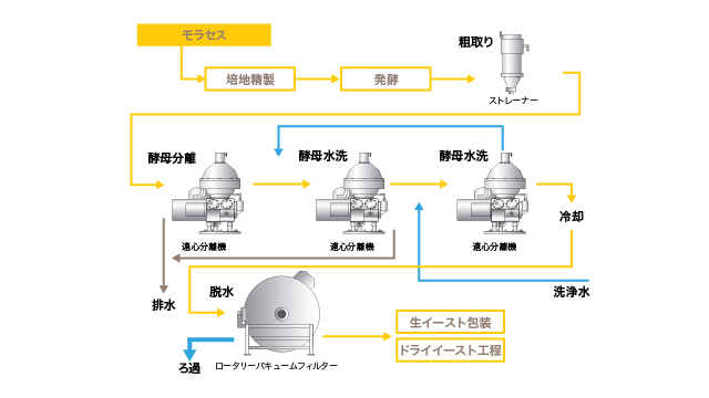 パン酵母の濃縮.png