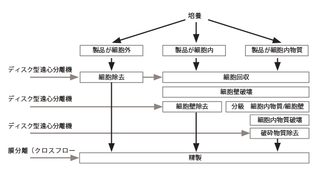 バイオテクノロジープロセス.png