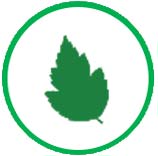 Utiliser l'ammoniac comme carburant des navires marchands